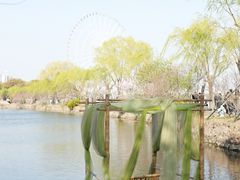 -无锡蠡湖国家湿地公园-蠡园