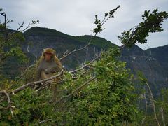 -重庆云阳龙缸景区