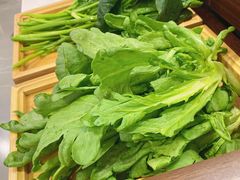 -蝎王府羊蝎子(天通苑店)