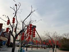 -郑州方特欢乐世界