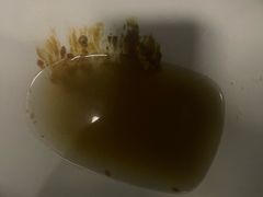 -青龙湖公园