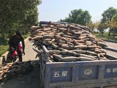 -洪湖生态旅游区