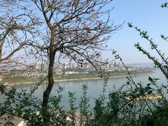 -大渡口区义渡公园