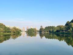 -洋湖国家湿地公园