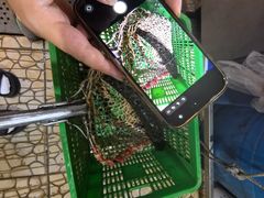 -翠云水煮鱼(双龙大道店)