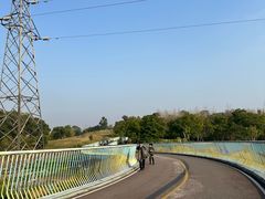 -白鹭湾湿地公园