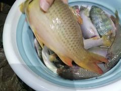 -南宁良凤江国家森林公园