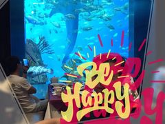 -雨林餐厅(长隆海洋王国店)