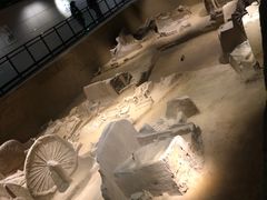 -洛阳周王城天子驾六博物馆