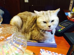 -TWOFACE双面理发馆