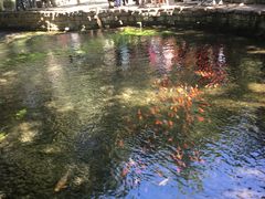 -水磨沟公园