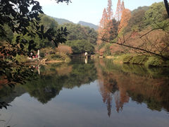 九溪烟树-九溪烟树