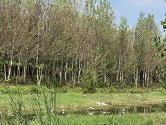 -廊坊市自然公园