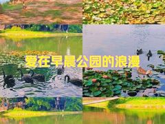 -上海辰山植物园