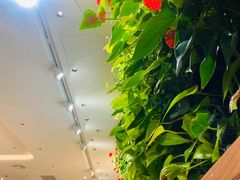 -Peet's Coffee皮爷咖啡(上海长风大悦城店)