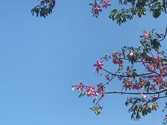 -扬美古镇景区