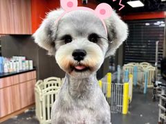 -宠宠熊宠物美容(星湖街店)