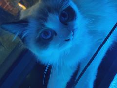 -零纪元VR体验馆·桌游(黄浦店)