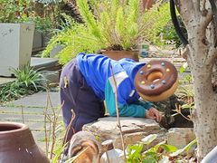 -谷咖啡·鲜花绿植花园餐厅