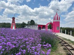 -名花谷生态庄园