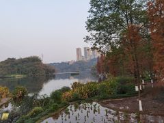 -重庆彩云湖湿地公园