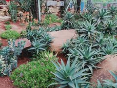 -南通洲际绿博园