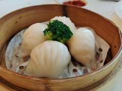 -御花园酒店(希尔顿店)