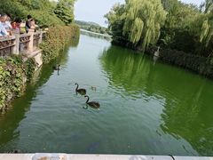 -颐和园
