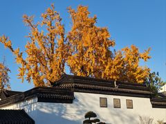 -琵琶语评弹茶馆(苏州平江路店)