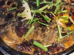 -老板恋上鱼(恒隆广场店)