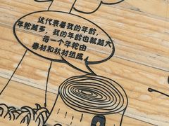 -南山植物园