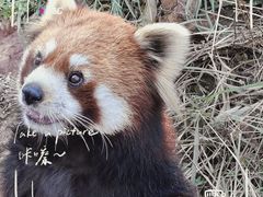 -宁波野生动物园