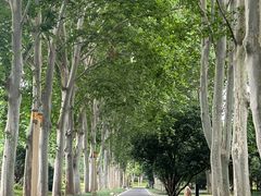 -河南省黄河迎宾馆