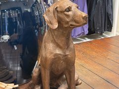 -Polo Ralph Lauren(青浦百联奥特莱斯广场店)