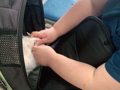-申普宠物医院·眼科·心内科·影像科(普陀分院)