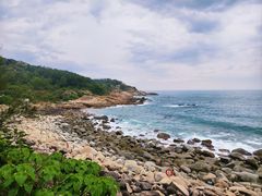 -广东惠东海龟国家级自然保护区