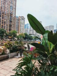 点击看大图 -宥莉·ULLY 痘敏肌•科技皮肤管理中心