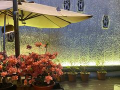 -宋宴(虎跑店)