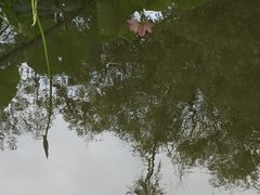 -月牙潭公园