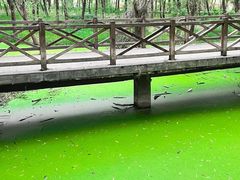 -白鹭湾湿地公园