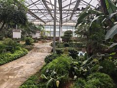 -石家庄市植物园