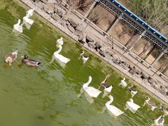 -森林公园(尖草坪区)