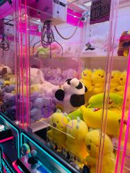 -莫莉幻想儿童乐园(北京顺义华联店)