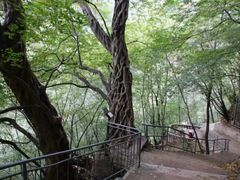-辋川溶洞