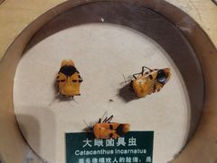 -陕西自然博物馆