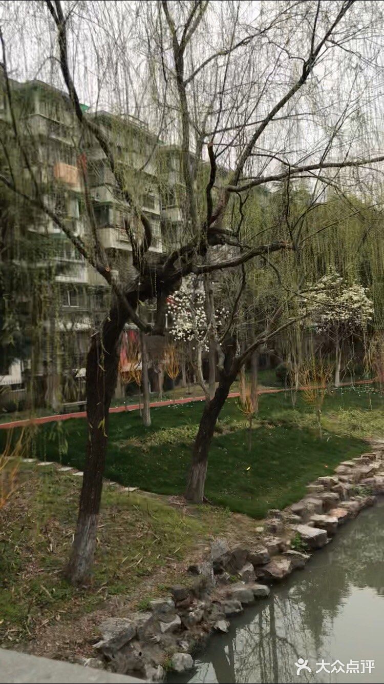 花也开了,虽然叫不出来名字