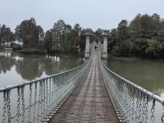-东湖落雁景区