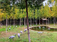 -艾溪湖湿地公园