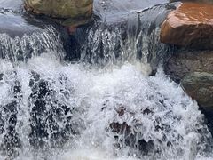 -黄埔油麻山森林公园