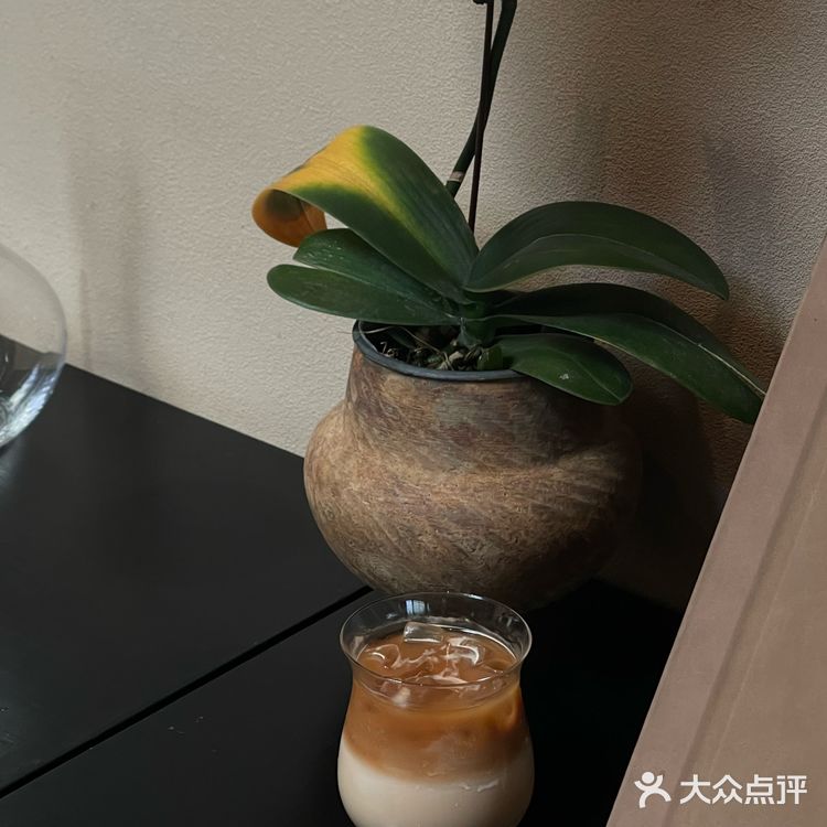 广州探店·谁还没发现这家莫奈风咖啡厅☕️